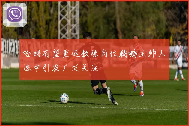 哈姆有望重返教练岗位鹈鹕主帅人选中引发广泛关注
