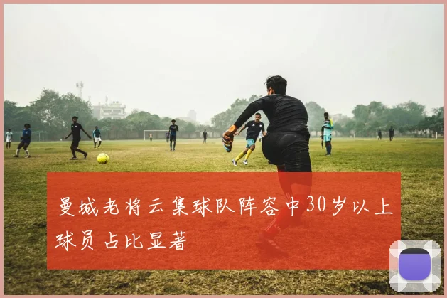 曼城老将云集球队阵容中30岁以上球员占比显著