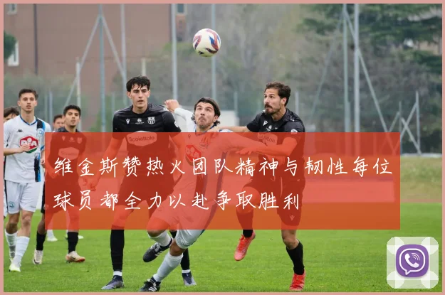 维金斯赞热火团队精神与韧性每位球员都全力以赴争取胜利